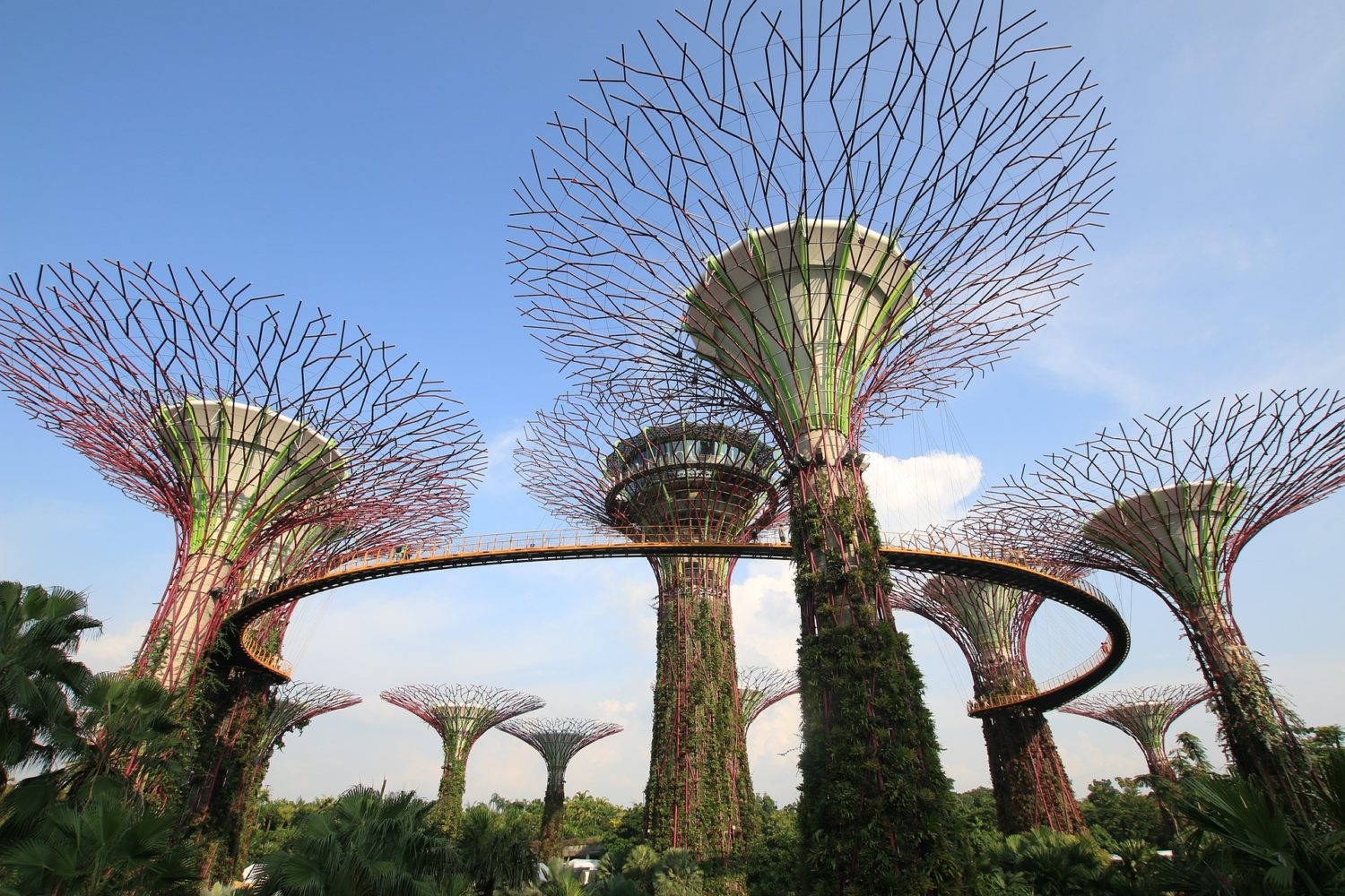 Gardens by the Bay