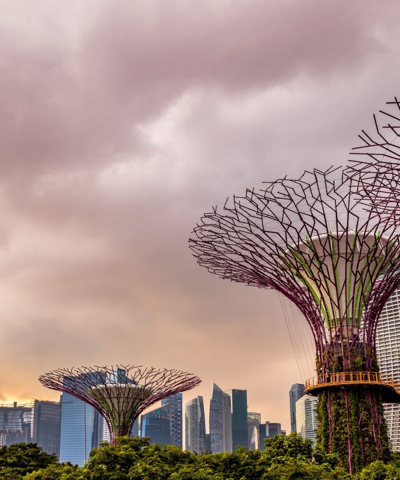 Singapore Gardens by the Bay