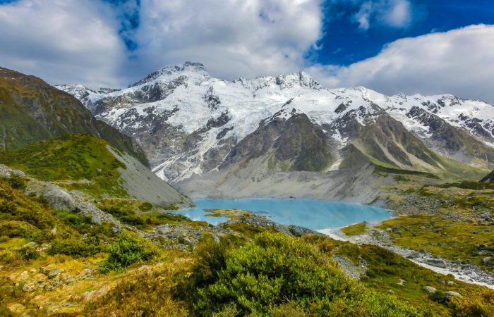 Alpine - New Zealand