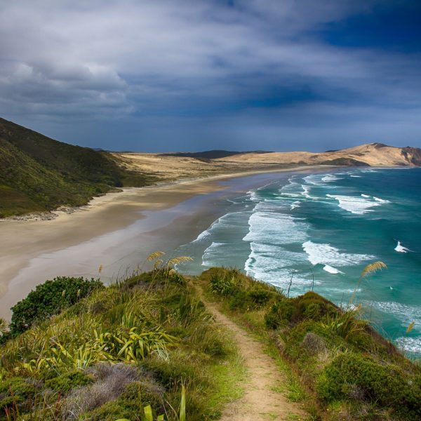 Beach in New Zealand