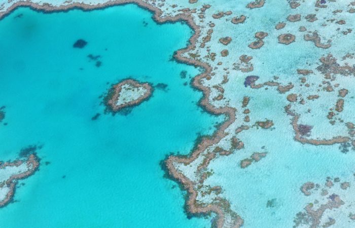 Heart Reef Australia